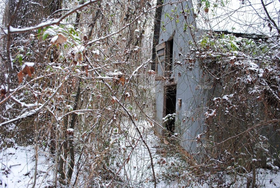 Foap Com Abandon Barn In The Woods Stock Photo By Kellyrichardson