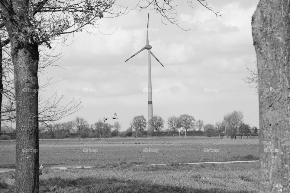 Windmill in the distance