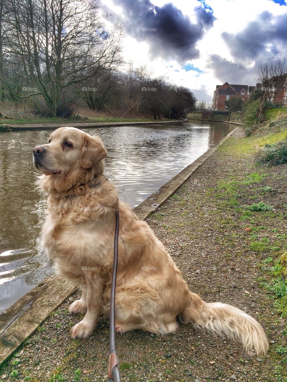 Nocas posing at the canal