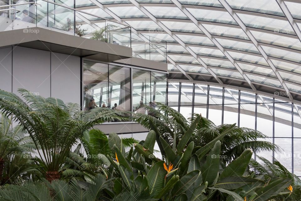 Beautiful view if plant and construction of Sky Garden in London