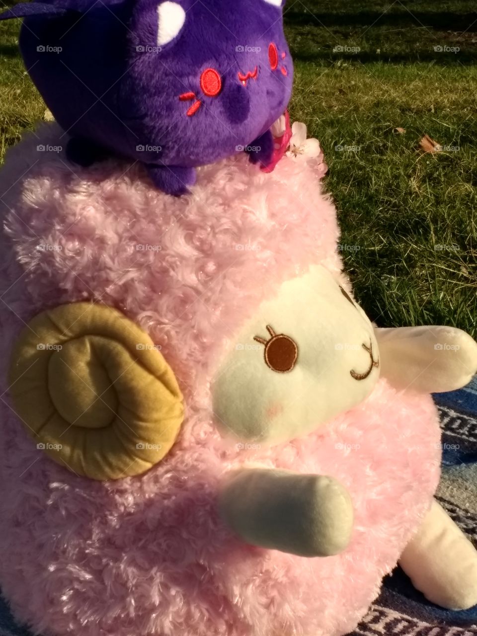 Fluffy Pink Picnic Friend