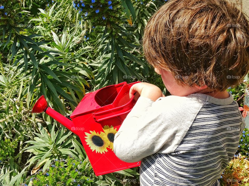 Young Boy Watering Flowers