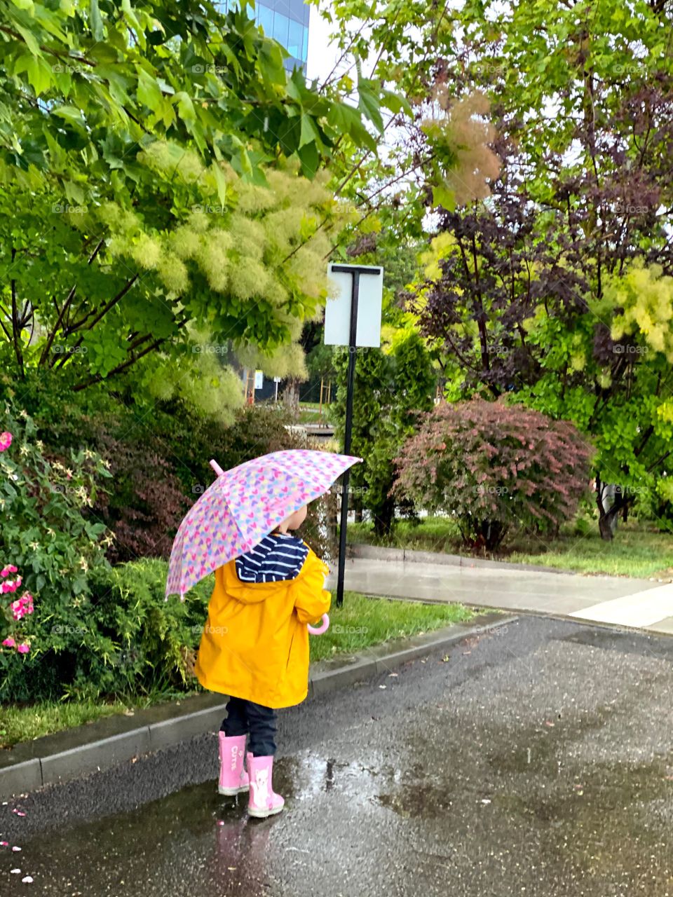 Jumping in puddles