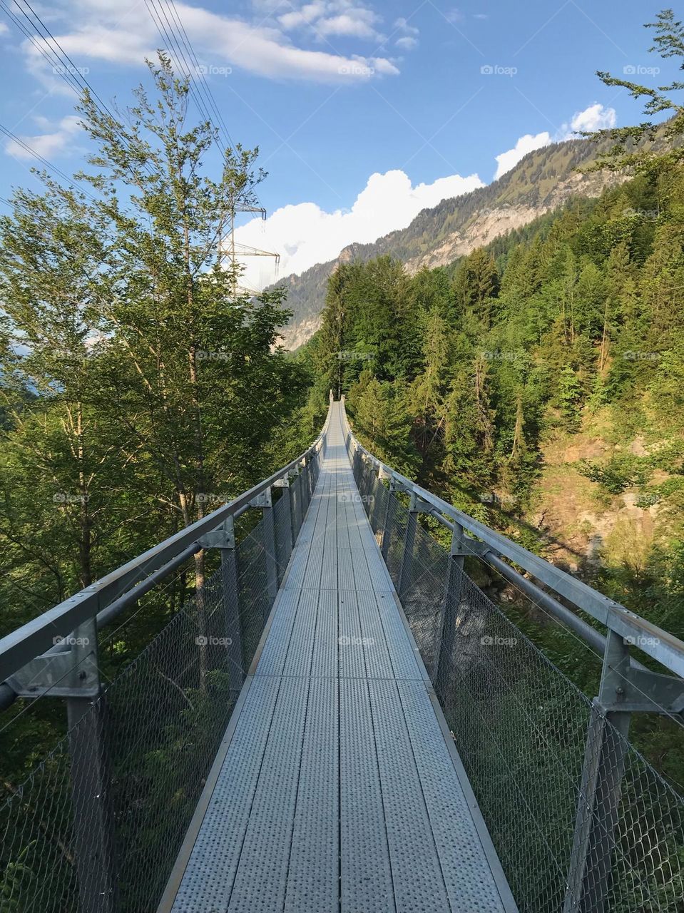 Long bridge switzerland