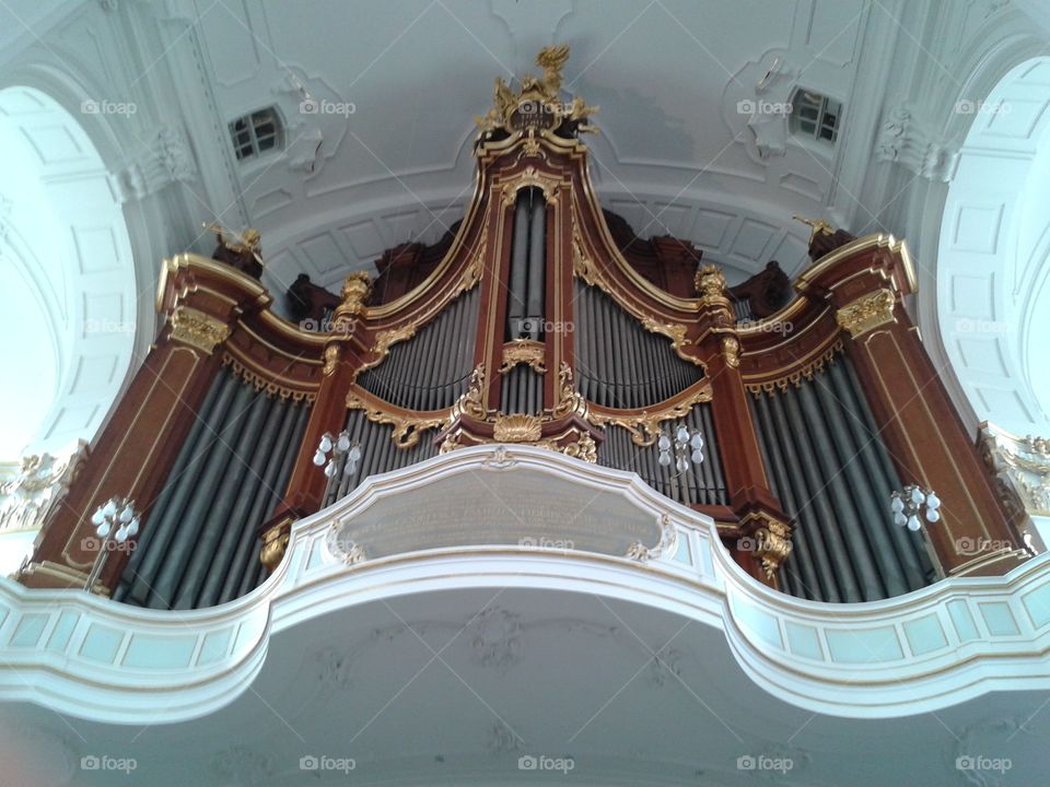 Organ