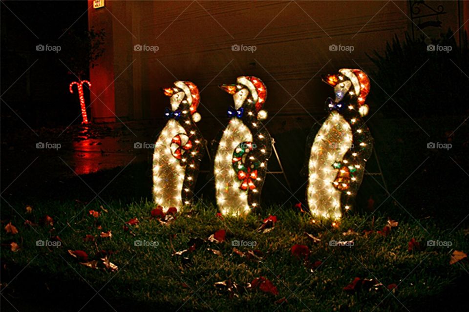 Christmas decoration at night 