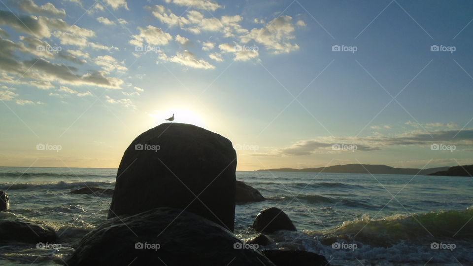 STRAND, HORIZON, KÜSTE, MEER, MEERWASSER, WASSER, NATUR, NATÜRLICH, UMWELT.