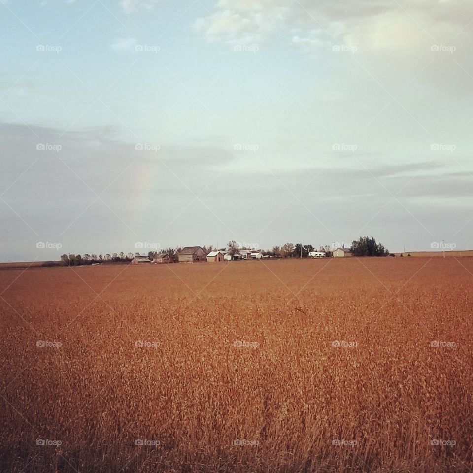 Fall Farming and Rainbows