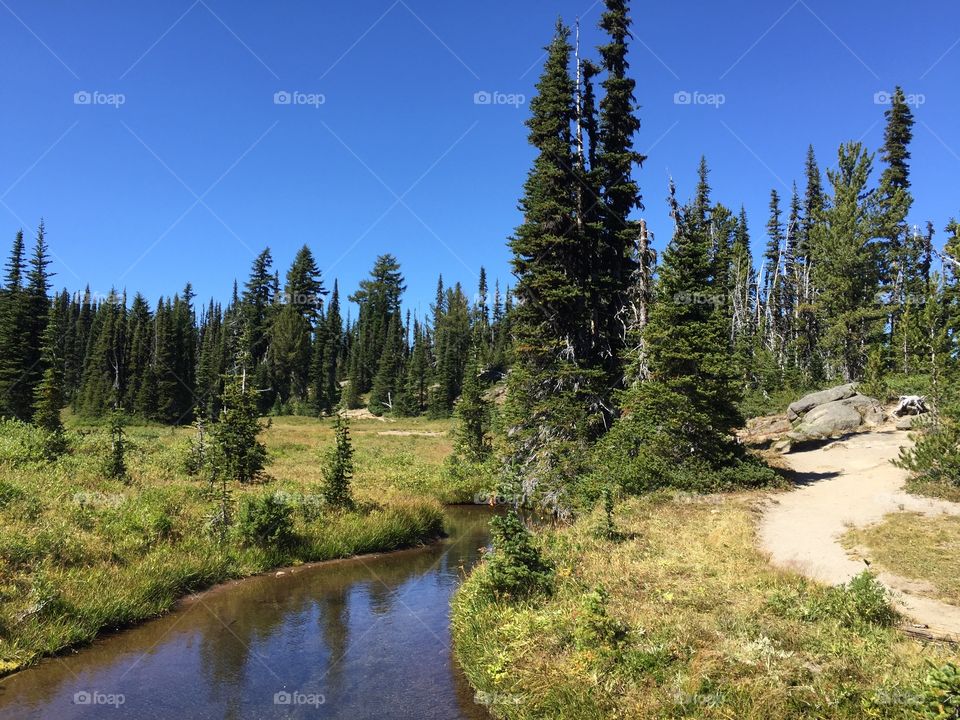 Empty pathway near lake