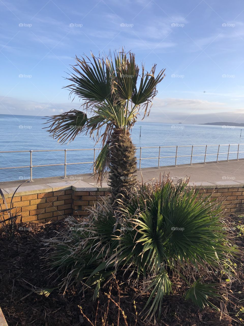 Teignmouth presenting as so springlike amp yet winter is not yet over in Winter UK 2020.