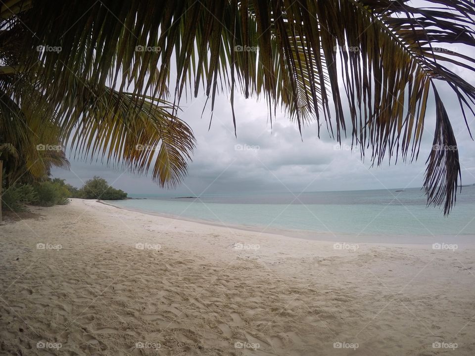 awesome beach with white sand into palm tree