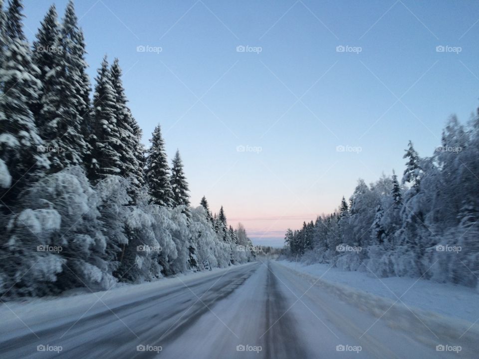 Snow, Winter, Frost, Cold, Wood