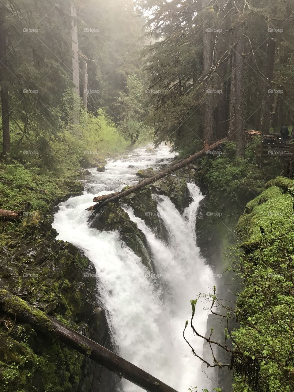 The power of the water at Sol Duc Falls in the beautiful Olympic National Park, Washington 