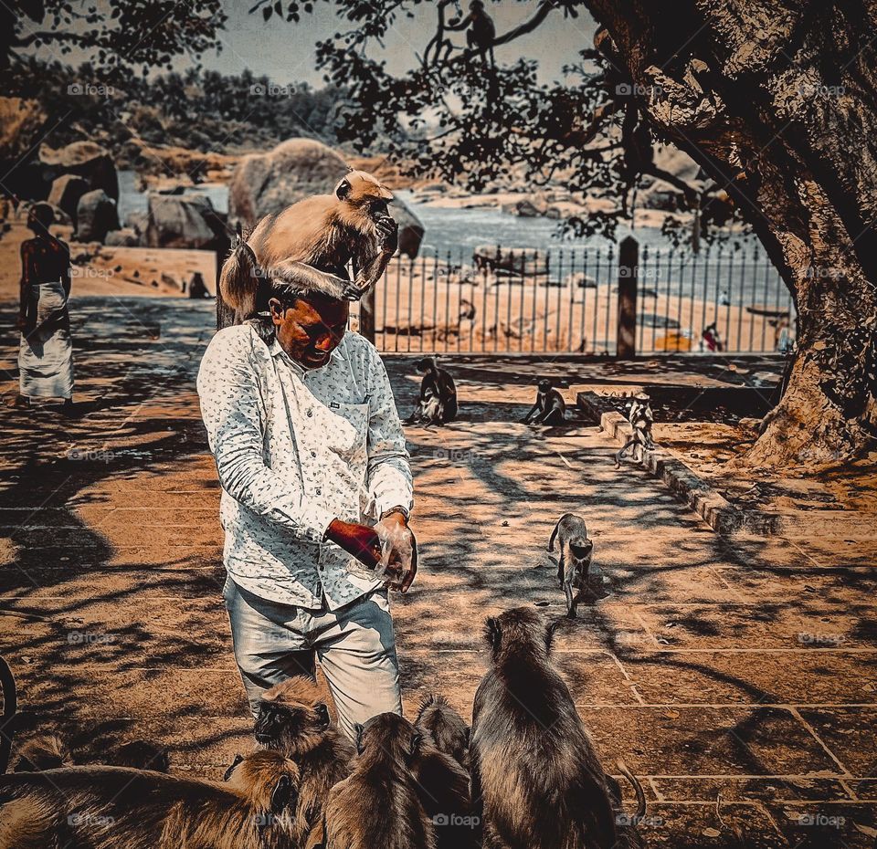 A monkey  sitting on the head of a stranger 