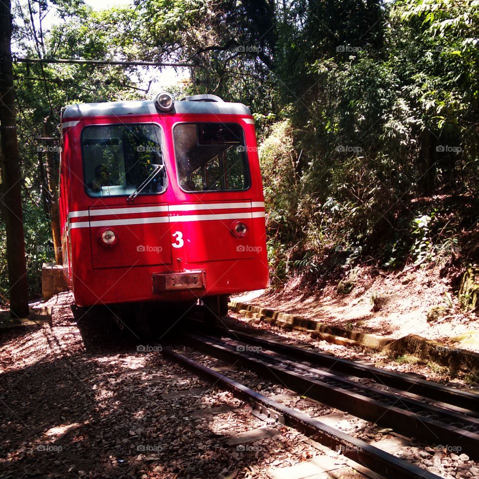 The train in a trail