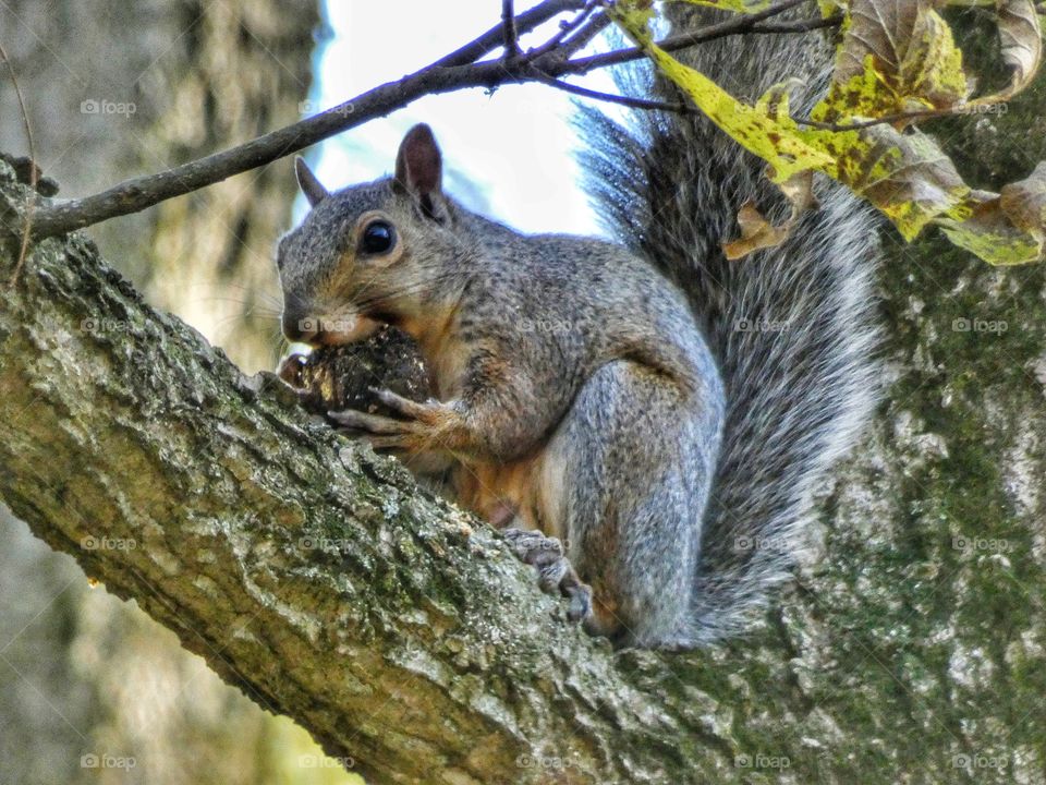 getting a snack