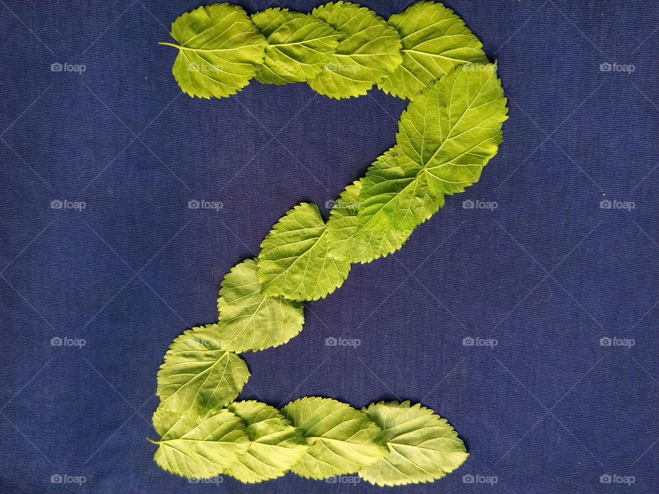 Letter Z alphabet made with mulberry Tree Green leaf over blue background