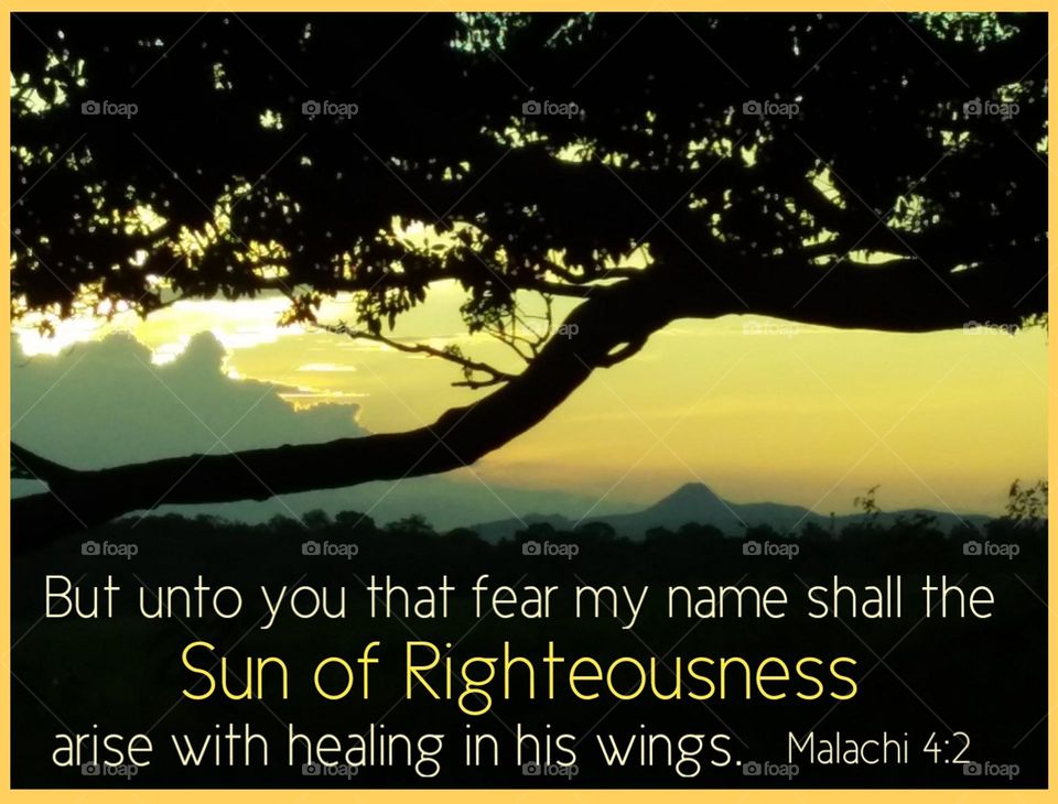 yellow sunset with branches in foreground, peaks and clouds in background