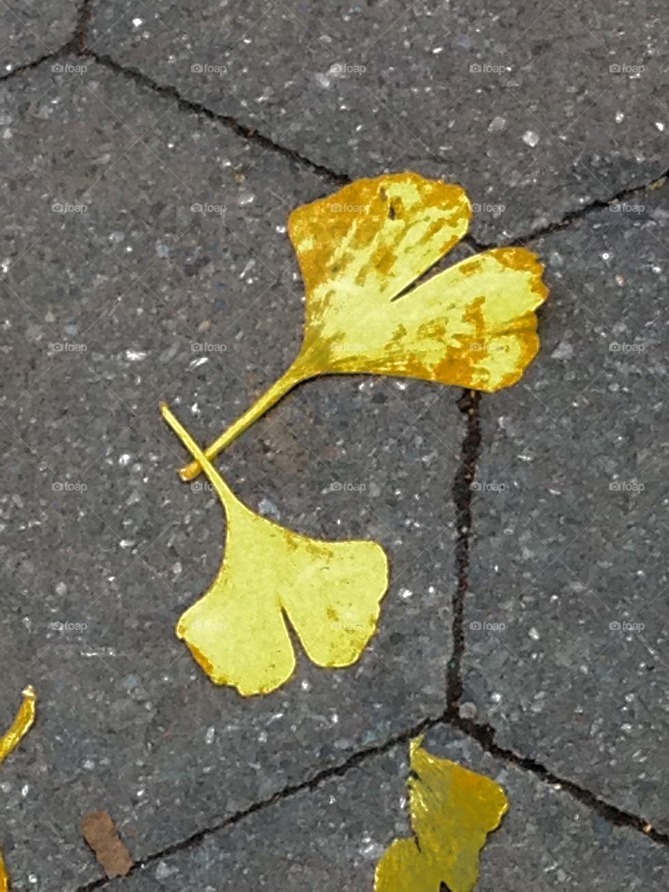 Don't Leave Your Heart in the Wrong Hands