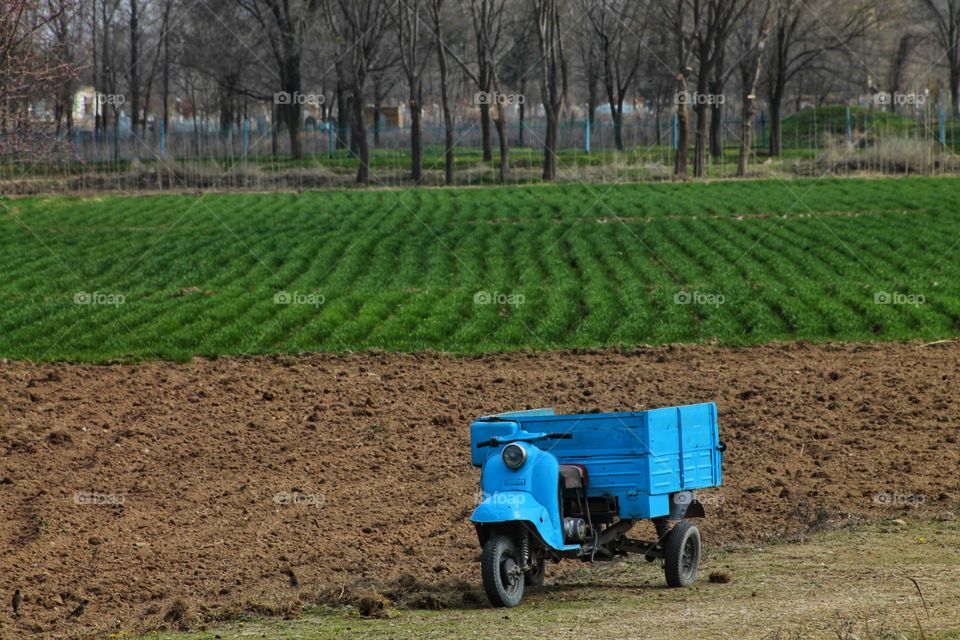 farm plot after spring plowing. even rows of sprouted fresh wheat. in the foreground is an old blue three-wheeled motorcycle with a body.