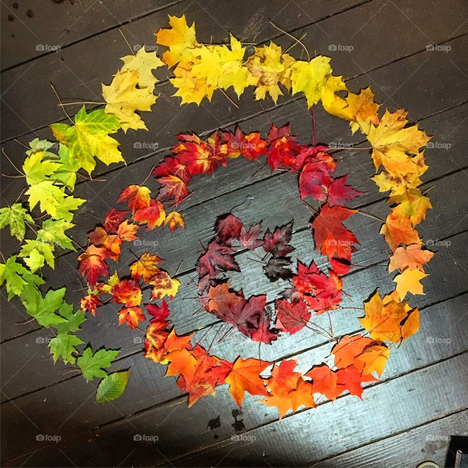 Shades of yellow mixed in all the fall colors 