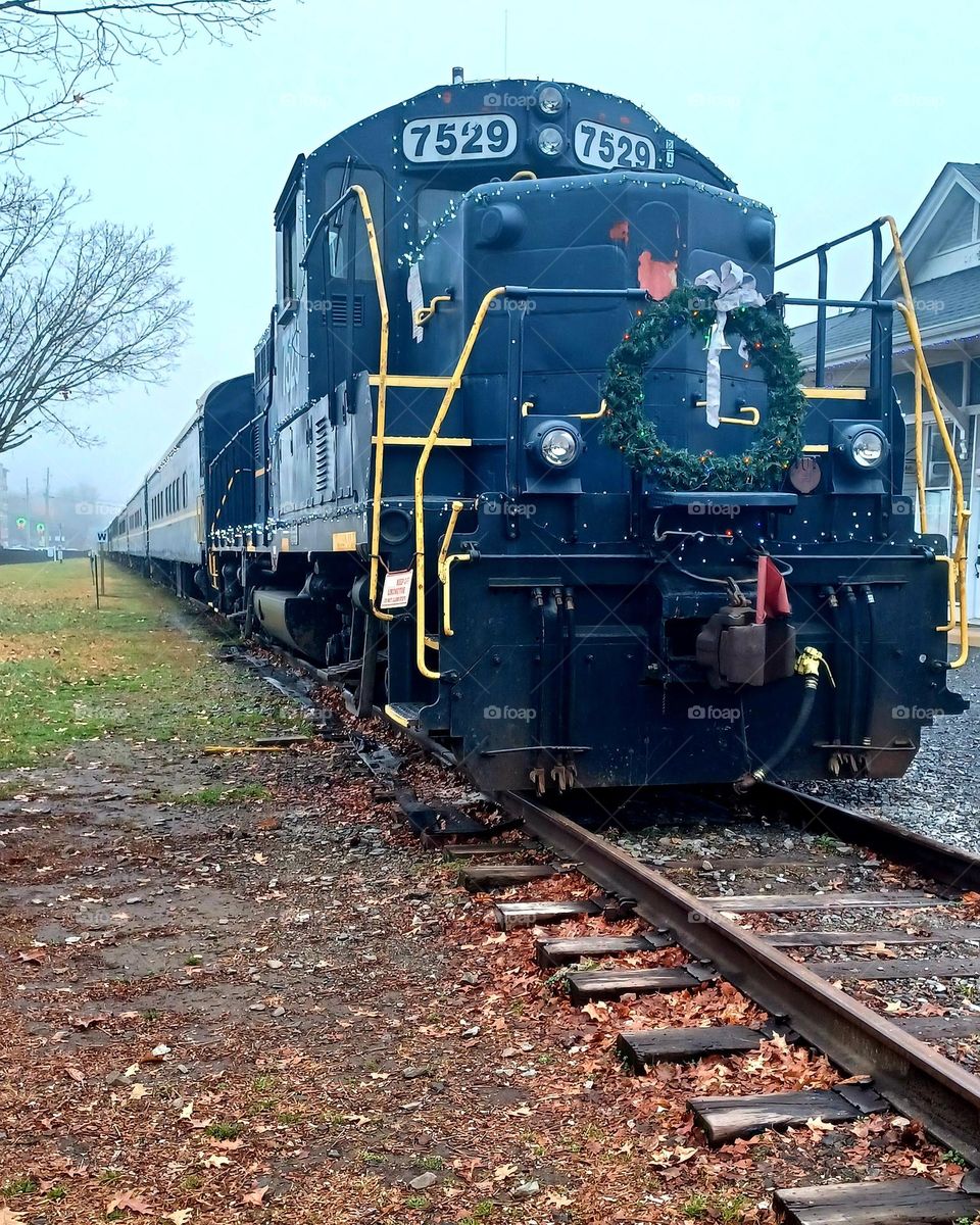 Rocky Mountain Christmas