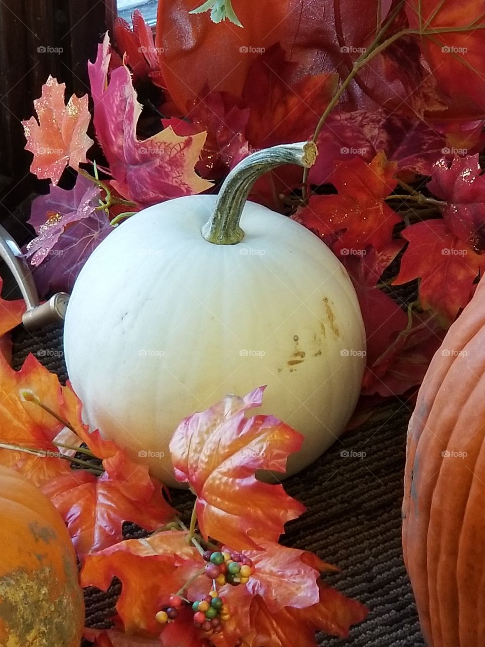 Pumpkin time