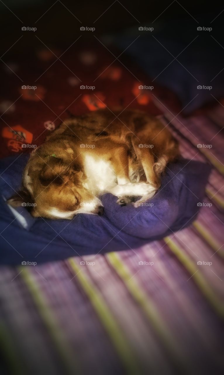 No Person, One, People, Food, Sleep