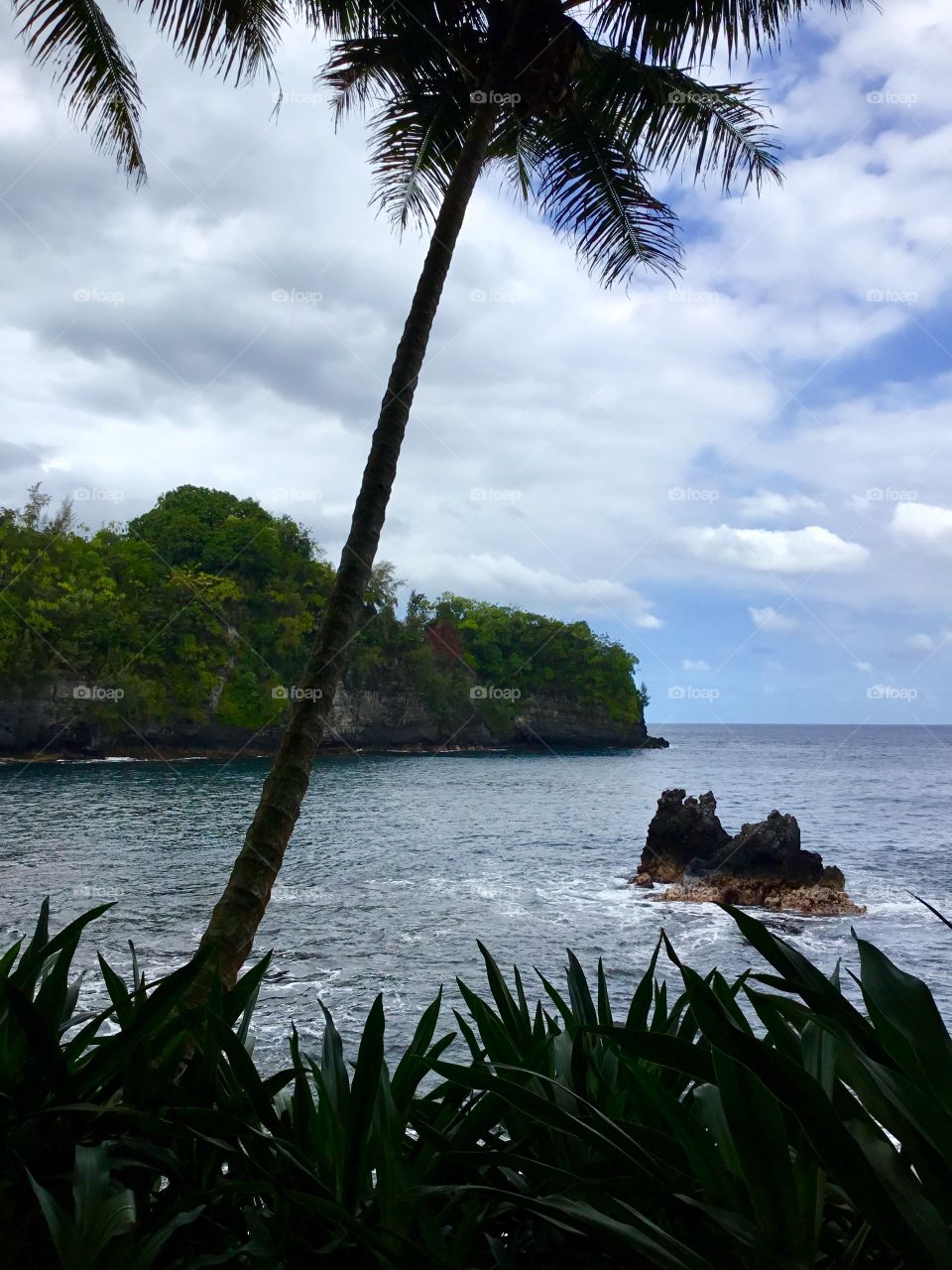 Ocean view at Hawaii Tropical Botanical Garden