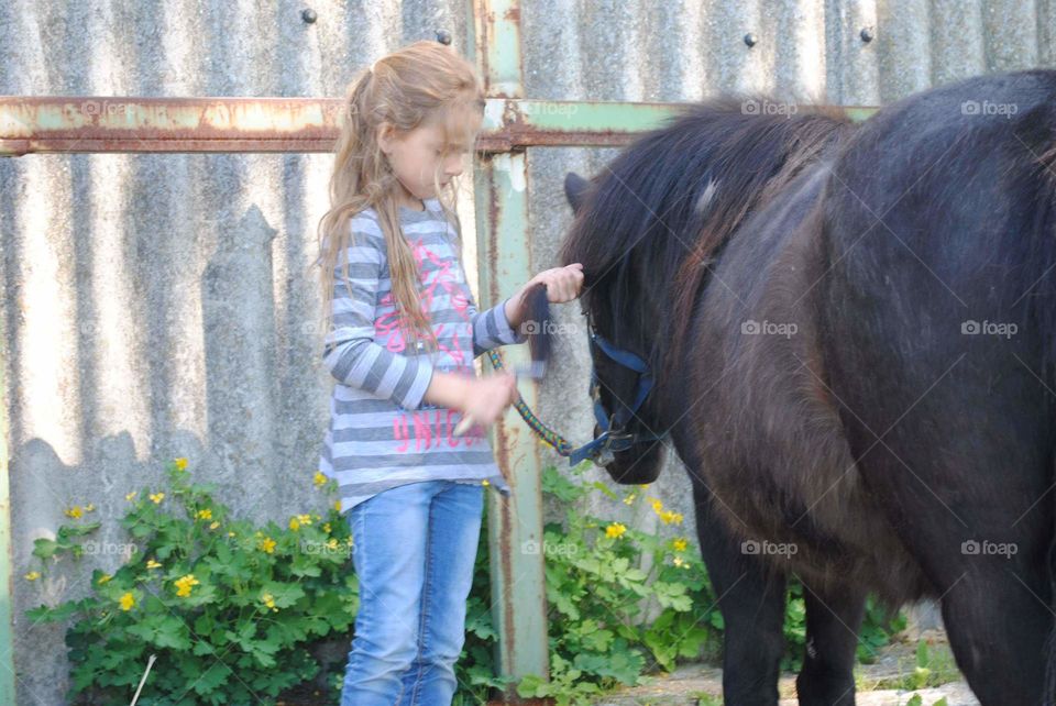 Mädchen Pony Pflege