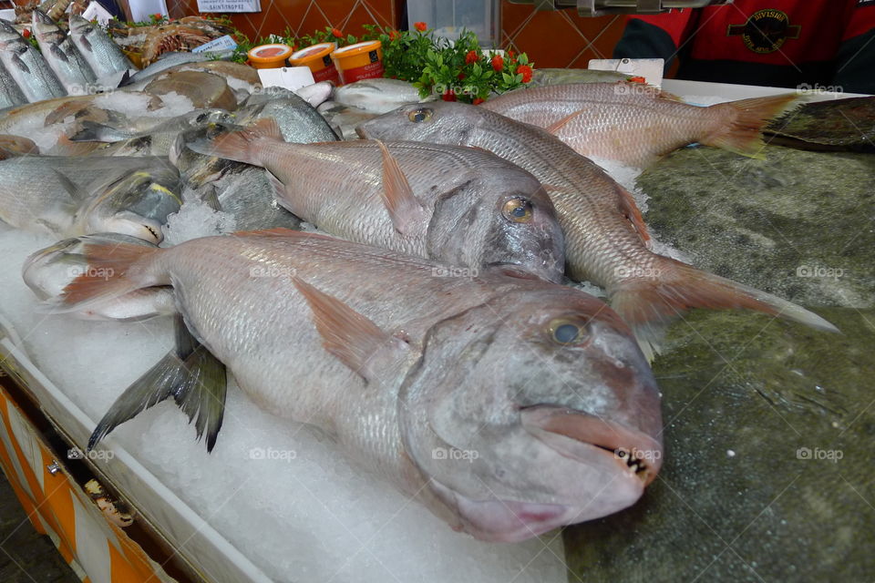 Fish market Saint Tropez