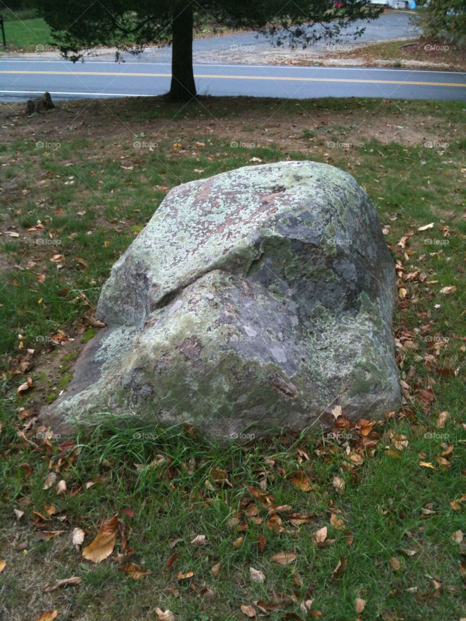 Front yard rock 