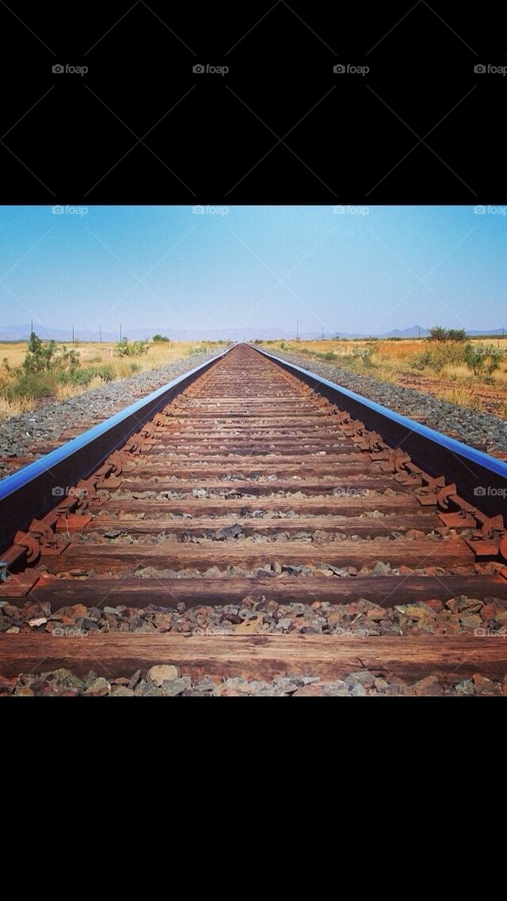 Where do the tracks lead...