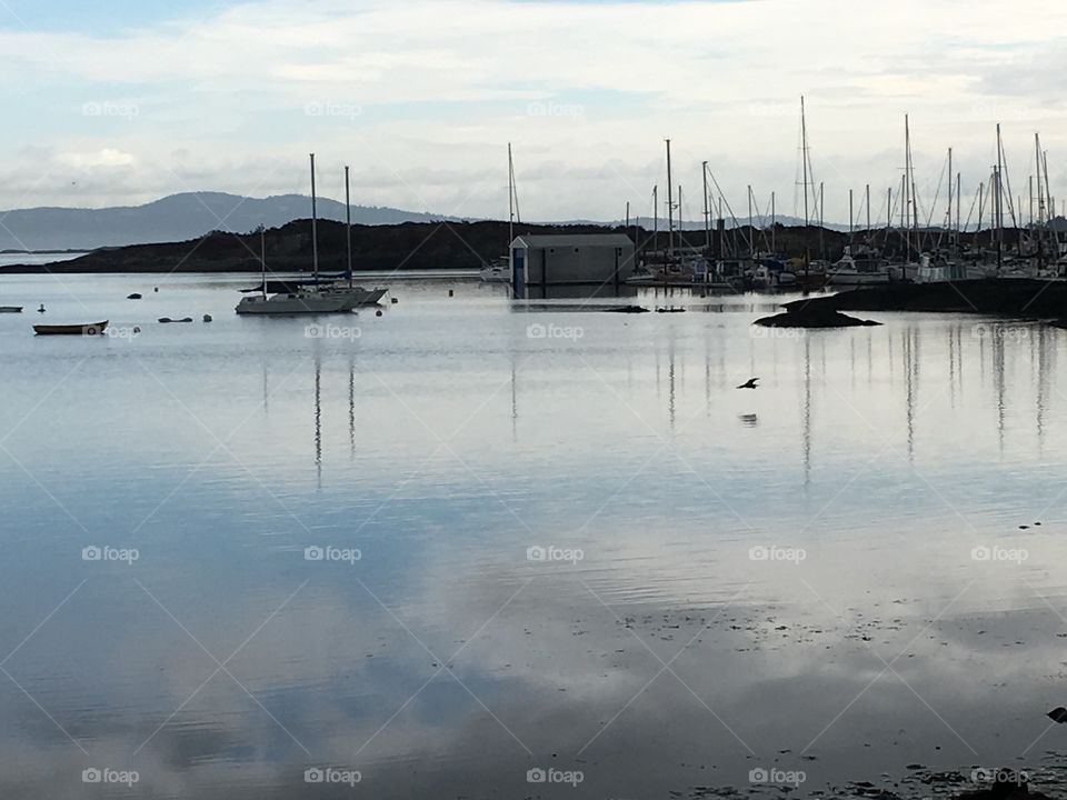 By the Oak Bay Marina, Victoria , BC