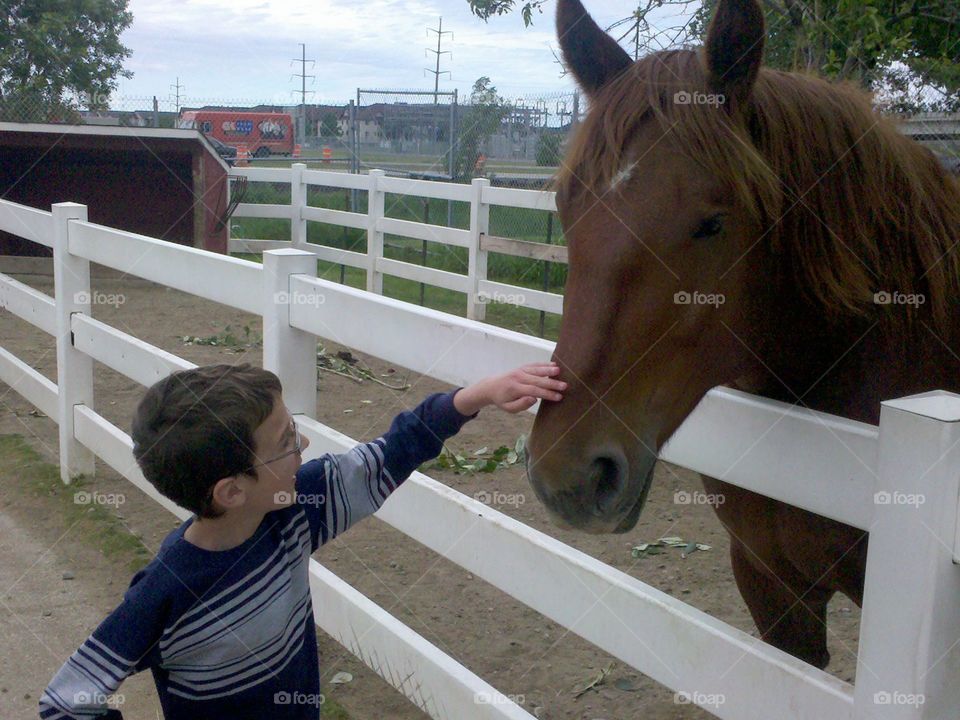 boy and horse