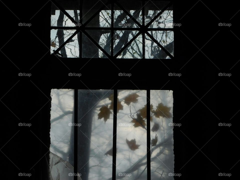 looking out fall window