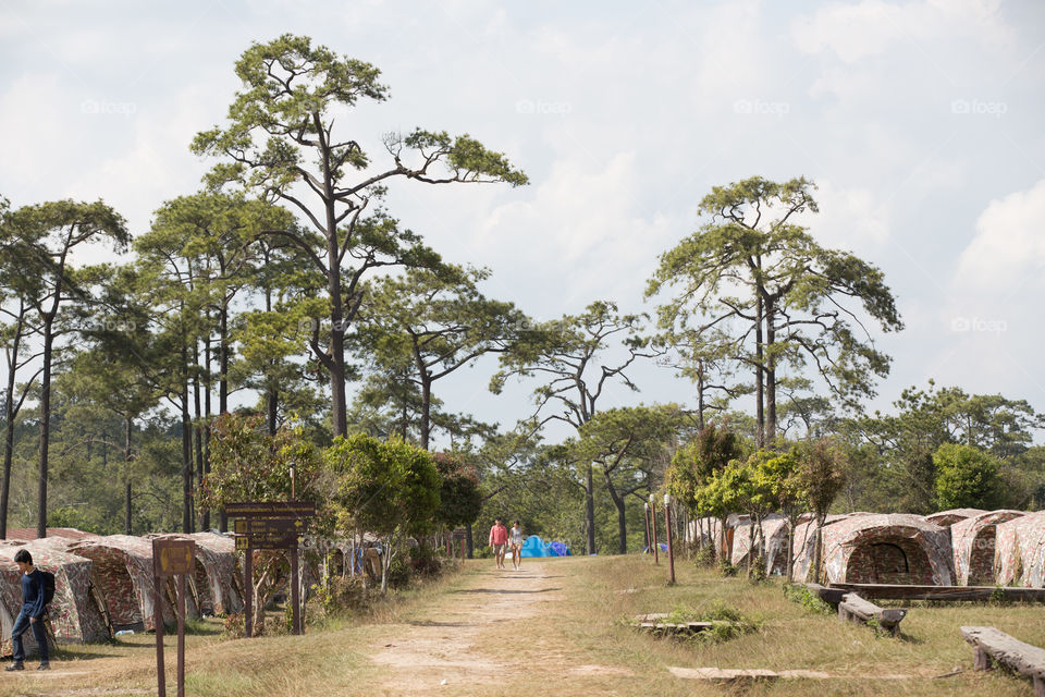 Tent for the tourist in national park