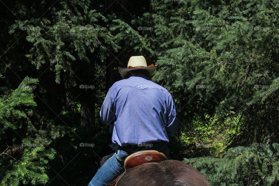 Horse back riding in Wyoming 