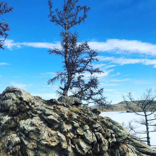 Altai