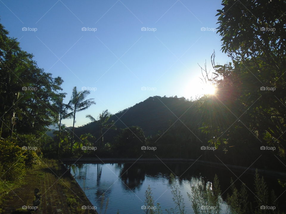 NATURA, SOLE SORGENTE, CIELO PULITO, PAESAGGIO.