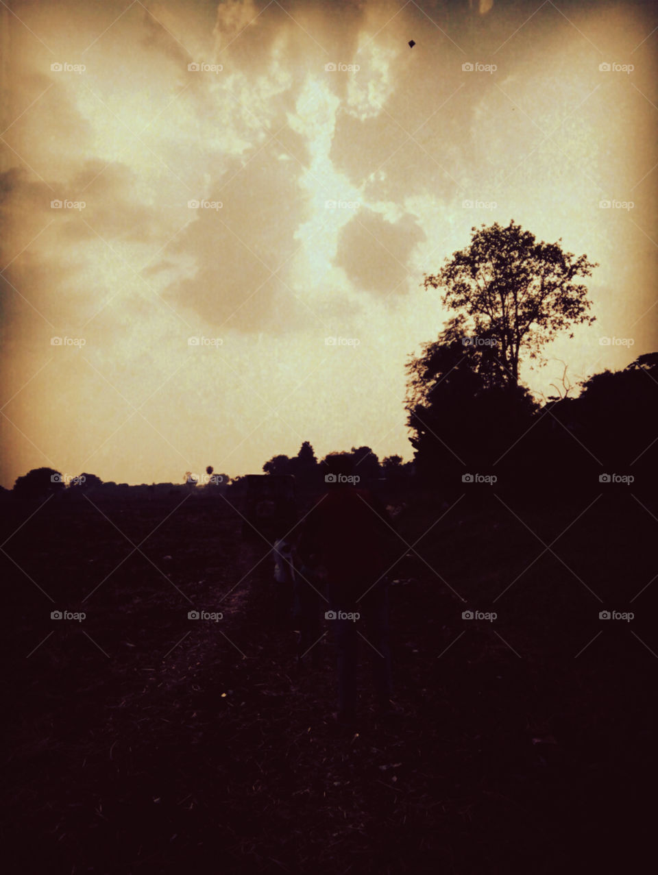 evening photo for u,golden evening only for you,Great photos of the weather,beautiful photos of the setting sun,good photos of an evening,a special photo for you, a photo to see,the best photos,great photo to be liked by all