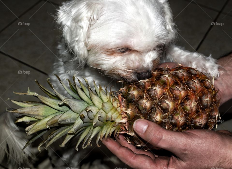 pineapple holding