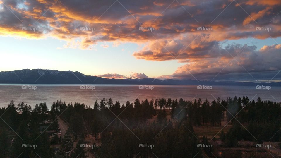 lake tahoe sunset with trees