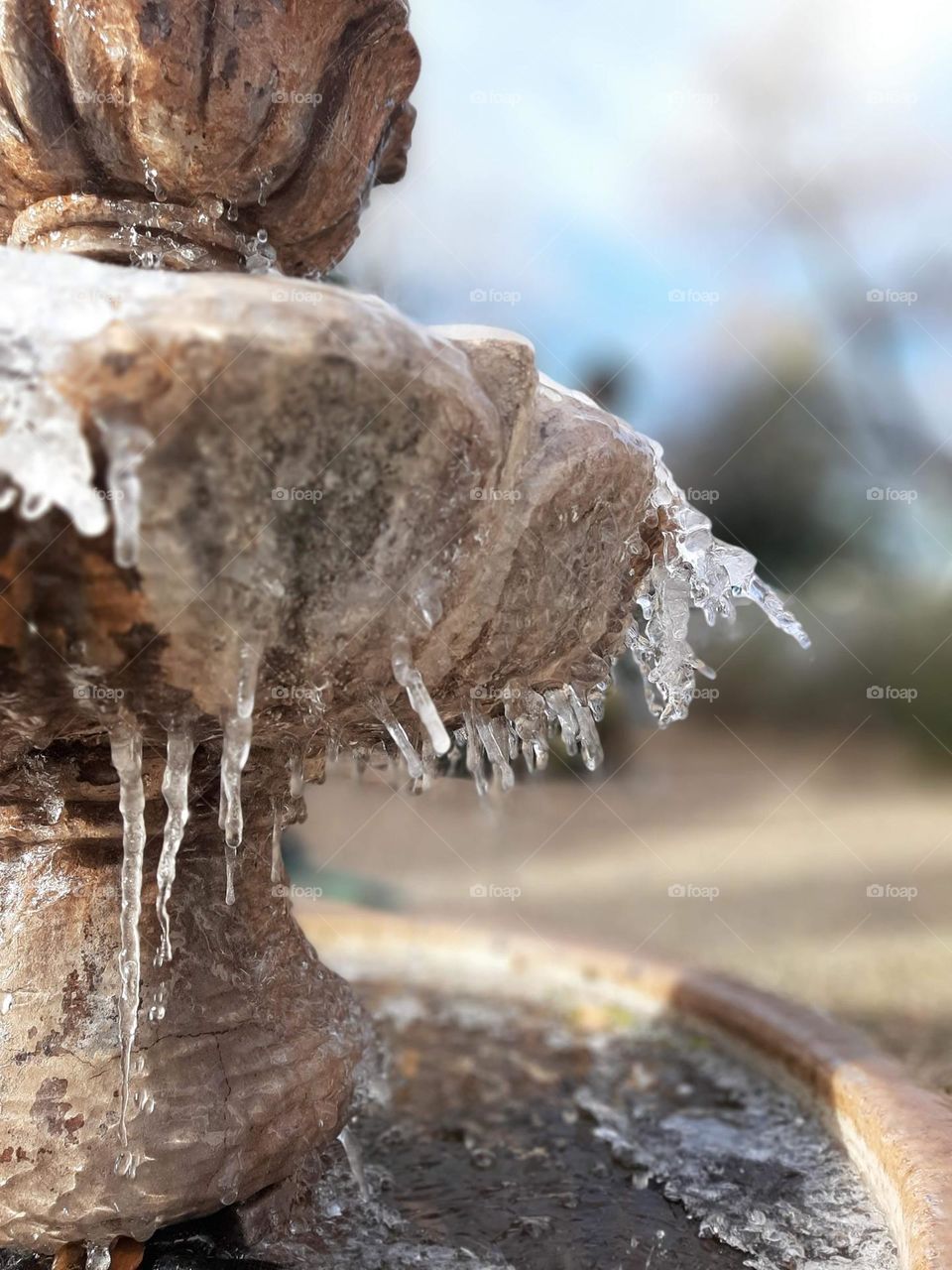 Fountain in the winter