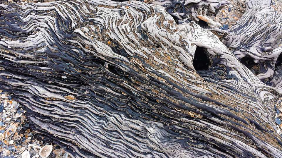 Botany Bay wood. Wonderful textures of old wood from the bone yard on Botany Bay beach.