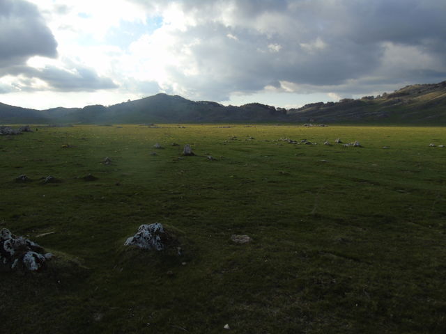 Mountain