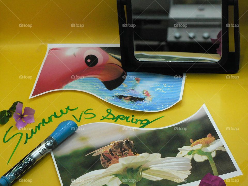 Summer VS Spring writings in cursive with blue dry erase marker with flowers on this display. Printed photos of spring and summer cut on paper with bee, flowers and pool, young swimmer and pink flamingo floaty with yellow background, mirror with BBQ.