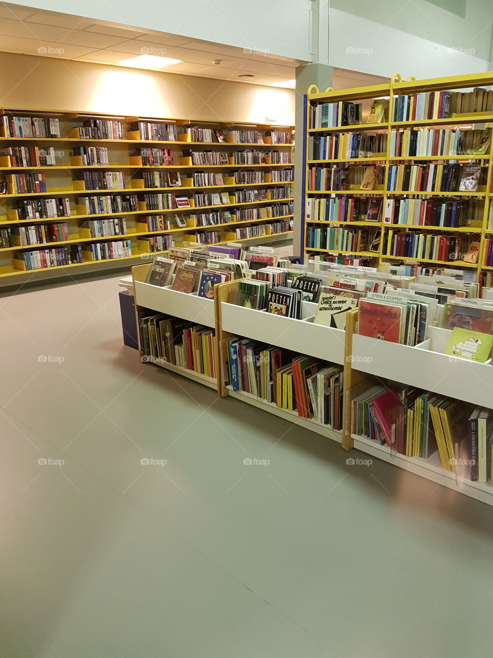 Bookcase, Shelf, Library, Literature, Bookstore
