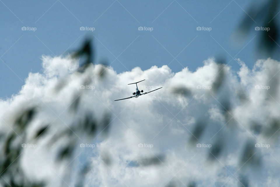 plane over the field