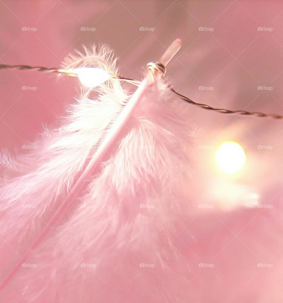 Baby Pink Light Feather Hangged With Dim Light